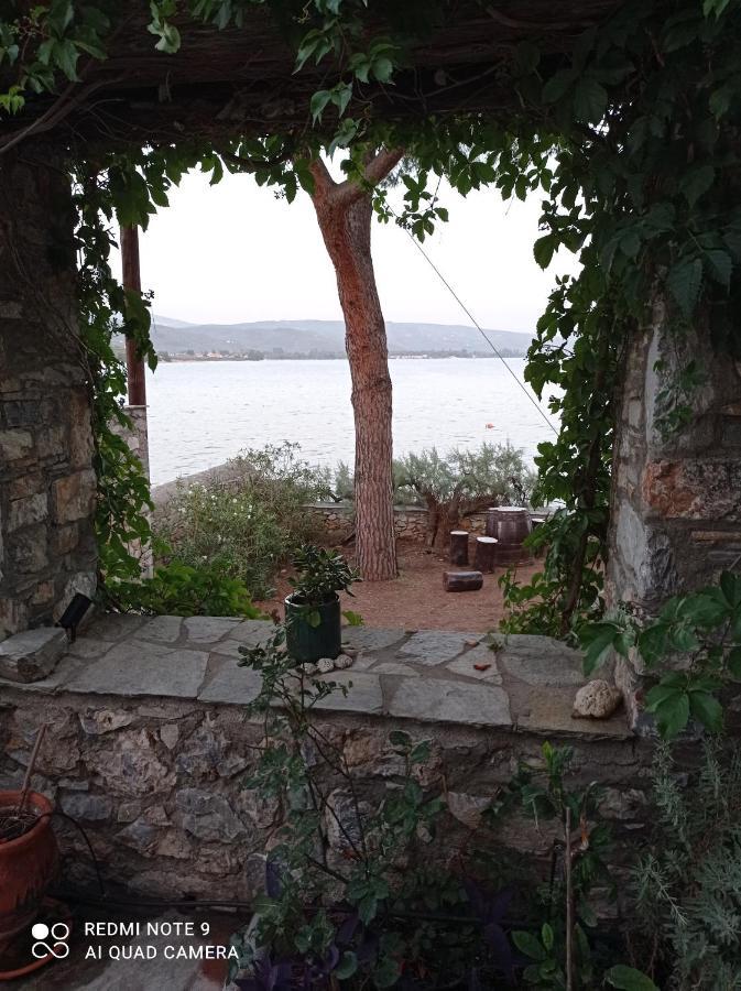 Natali'S Villa By The Sea Káto Gadzéa Kültér fotó